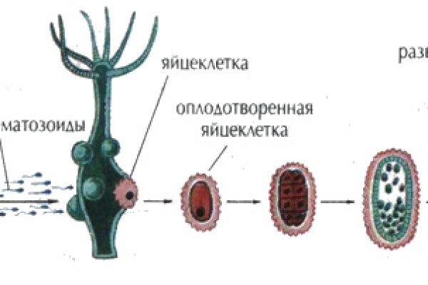 Kraken официальный сайт ссылка