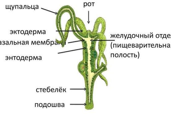 Как перейти на кракен