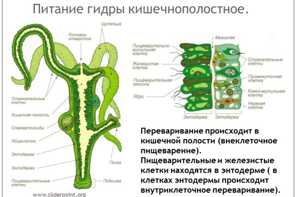 Кракен это гидра